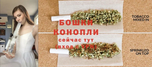 амф Арсеньев